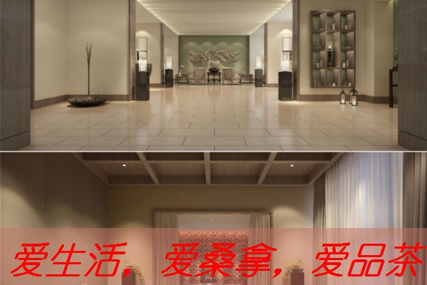 南宁桑茶的冲泡技巧：轻松泡出醇香茶汤