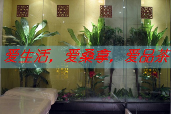 南宁修车喝茶：汽车维修与茶艺的休闲时光